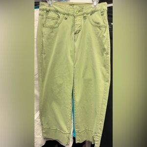 Jag green pants with stretch.  Size 8